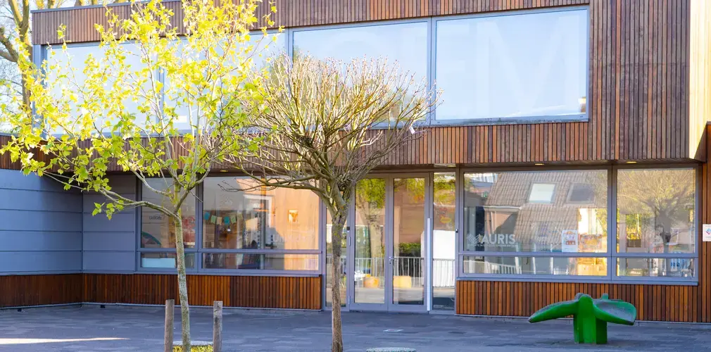 Boom met een gebouw