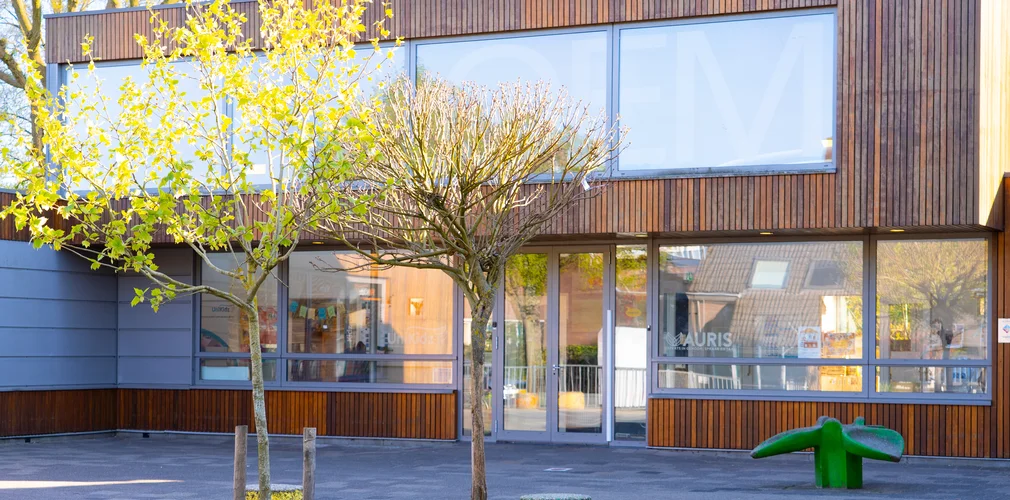 Boom met een gebouw