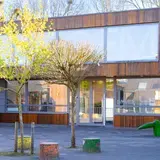 Boom met een gebouw